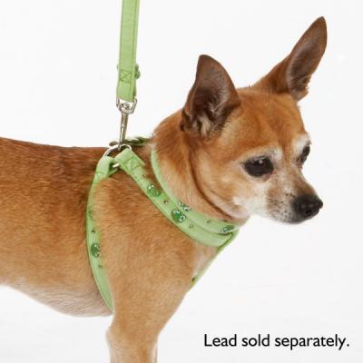 Top Paw? Green Suede Frog Harness