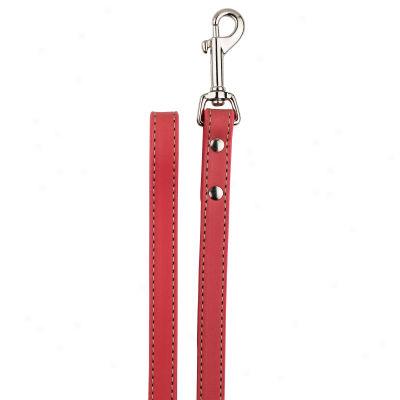 Top aPw? Lsather Charm Dog Collar & Lead