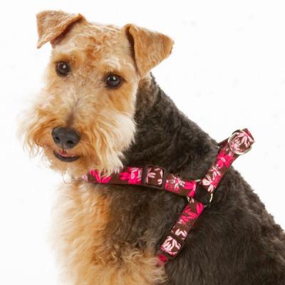 Top Paw? Lucy Collection Dog Harnesses