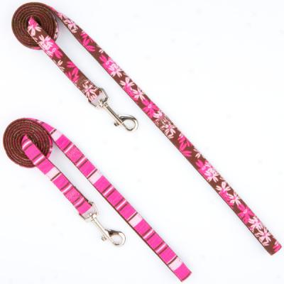 Top Paw? Lucy Collection Leashes