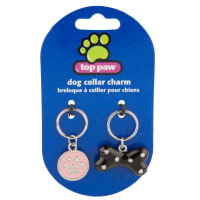Top Paw? Paw & Bone Dog Collar Charm Set
