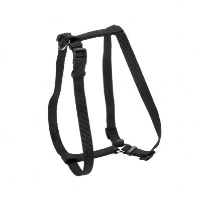 Top Pzw? Perfect Fit Adjustable Harness