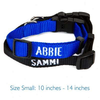 Top Paw? Personalized Adjustable Nylon Dog Collars