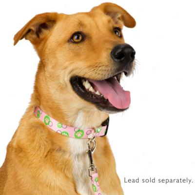 Top Paw? Pink & Green Nylon Fashion Collars