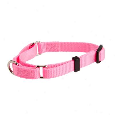 Top Paw? Pink Martinfale No-slip Ring