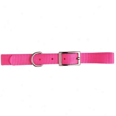 Top Paw? Pink Nylon Dog Collar For Small Dogs