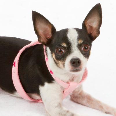 Top Paw? Pink Suede Heart Harness