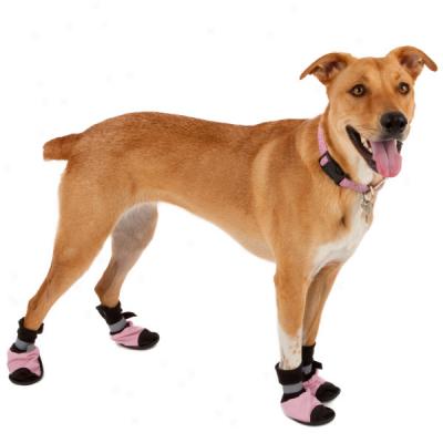 Top Paw? Reflective Dog Booties