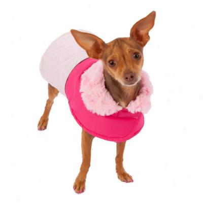 Top aPw? Sparkle Dog Coat With Fur Collar