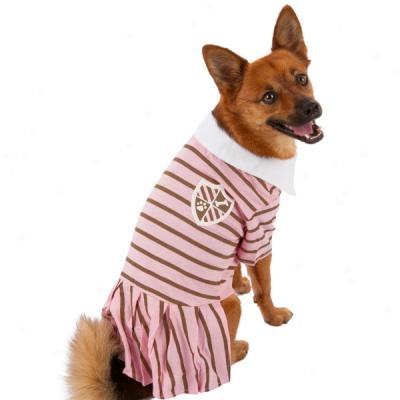 Top Paaw? Striped Polo Dog Dress