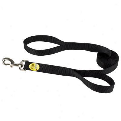 Top Paw? The Loops 2 Leash