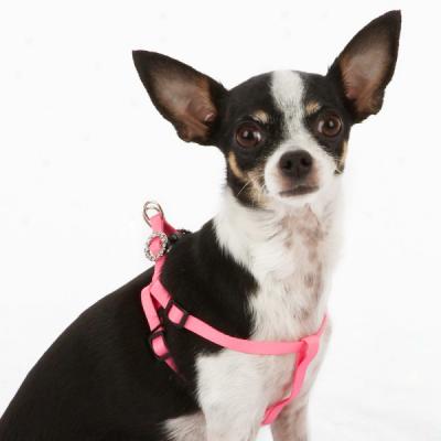 Top Paw? X-small Jeweled Comfort Wrap Harness