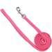 Top Paw® Pink Nylon Dog Lead