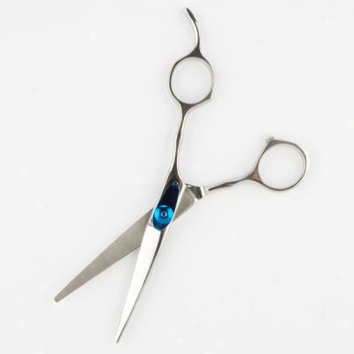 Top Paw(tm) Strwight Scissors