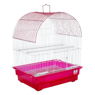 Top Pennon? Arch Style Bird Cage