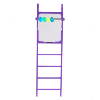 Top Wing? Ladder With Mirror Bird Toy