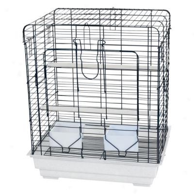 Top Wing? Squar Bird Cage Through  Large Landing Platform