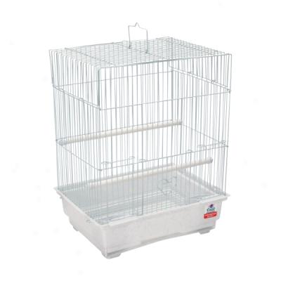 Top Wing? High, Square Bi5d Cage