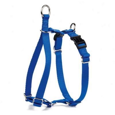 Topnotch Harness By Premier 1 In X 42 In Azure