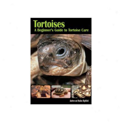 Tortoises: A Beginner's Guide To Tortoise Care