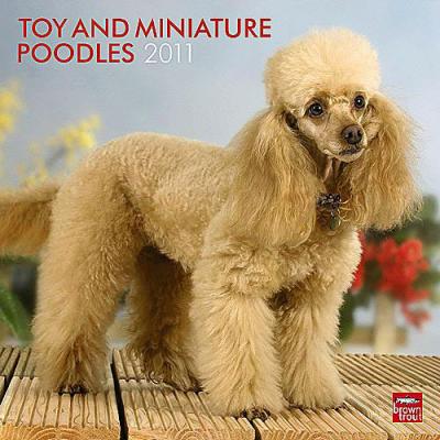 Toy And Mini Poodle 2011 Calendar