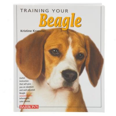 Training Your Beagle