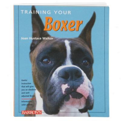 Training Your Boxer