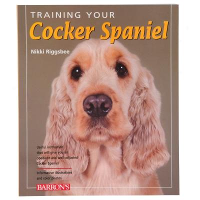 Training Your Cocker Spanniel