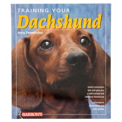 Training Your Dachshund