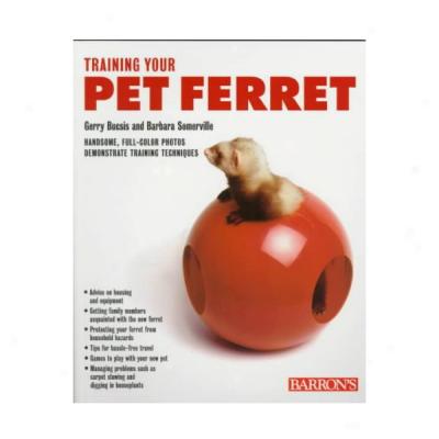 Training Your Fondle Ferret