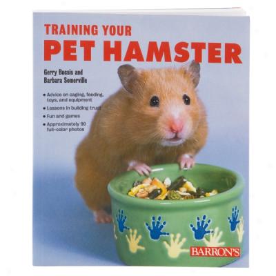 Training Your Pet Hamster