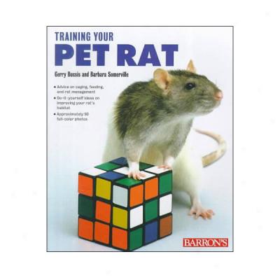 Training Your Pet Rat