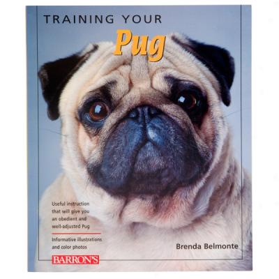 Training Your Pug