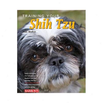 Training Your Shih Tzu