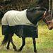 Tuff Rider Reflective Turnout Blanket