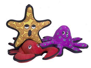 Tuffy's Ocean Creatures General Starfish