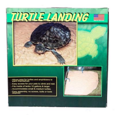 Turtle Landing