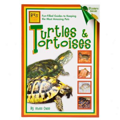 Turtles And Tortoises: Origin Vivarium Systems