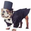 Tuxedo Costume For Dogs