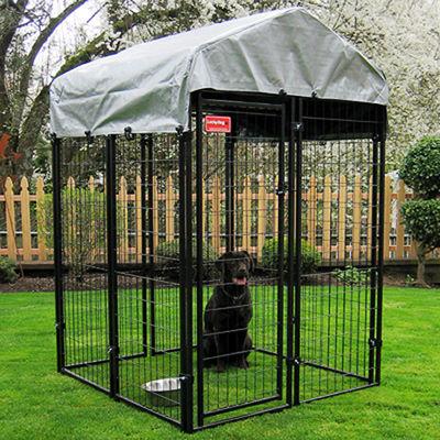 Uptown Dog Kennel