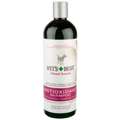 Vet's Best Antioxidant Shampoo