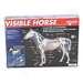 Perceptible Horse Educational Model