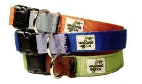 Wagging Green Eco-hip Buckle Coklar Shell/bark L (ss)