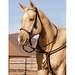 Weaver Diamond Hitch Synthetic Tack - Headstall