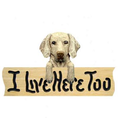 Weimaraner I Live Here Too Oak Finish Sign