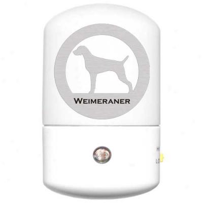 Weimaraner Led Night Light