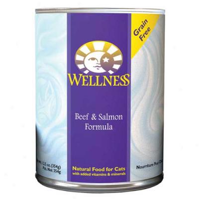 Wellness Beef And Salmon Recipe 12.5oz Case Of 12 Cans