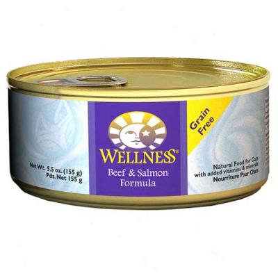 Wellness Beef And Salmon Recipe 5.5oz Case Of 24 Cans