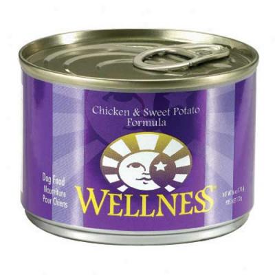 Wellness Chicken And Sweet Potato Recipe 6oz Case Of 24 Cans