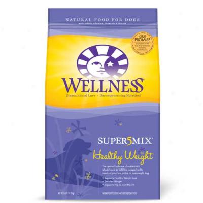 Wellness Complete Health Super5mix Wholesome Weight Dog Aliment - 30lbs Oversize